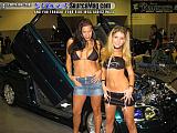 importfest Show Images Page 1